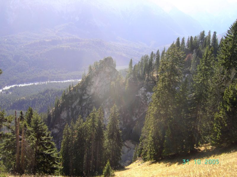 Bild vergr&ouml;ssern