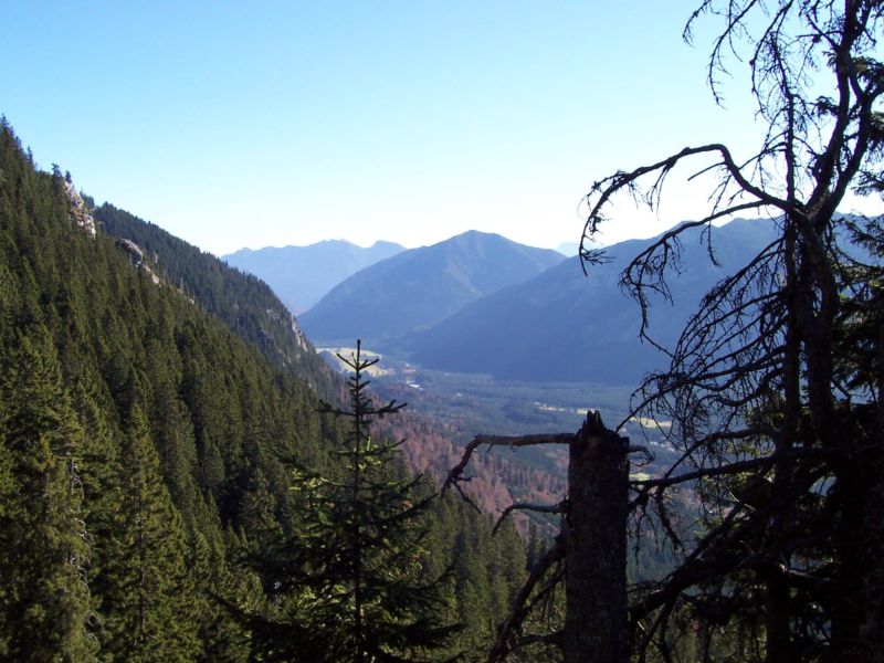 Bild vergr&ouml;ssern