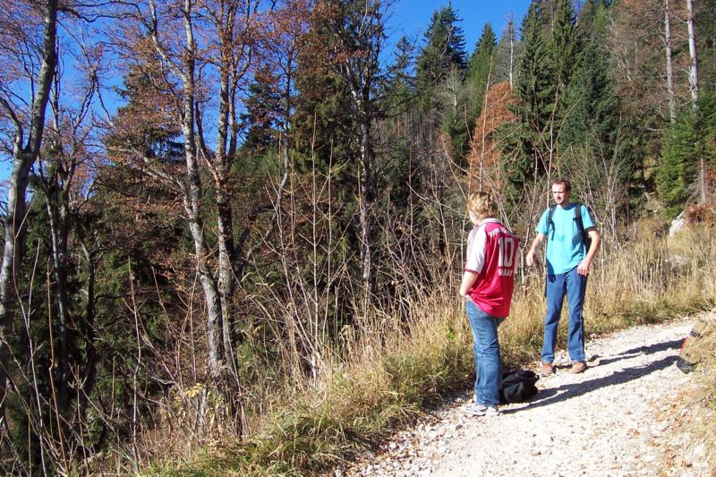 Bild vergr&ouml;ssern