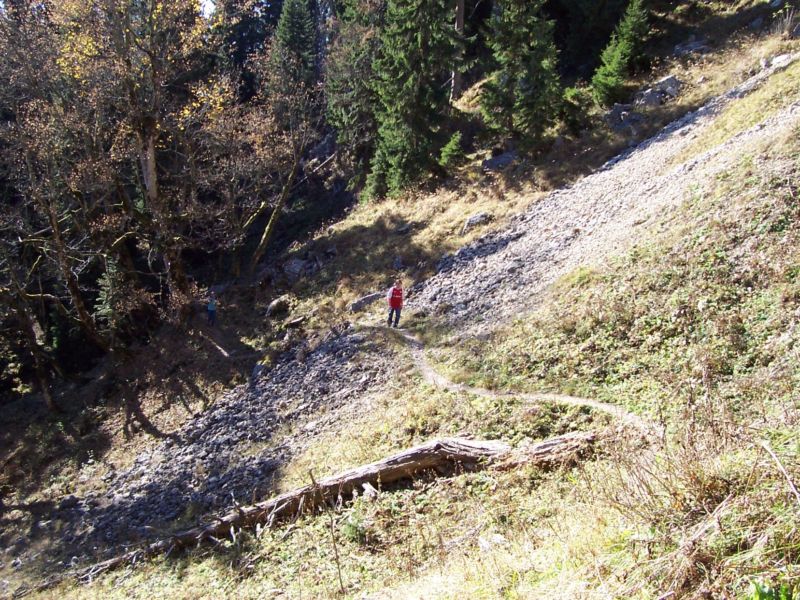 Bild vergr&ouml;ssern