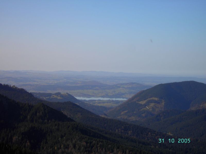 Bild vergr&ouml;ssern