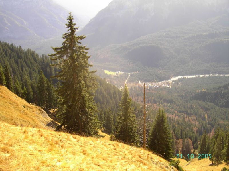 Bild vergr&ouml;ssern