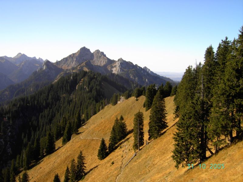 Bild vergr&ouml;ssern