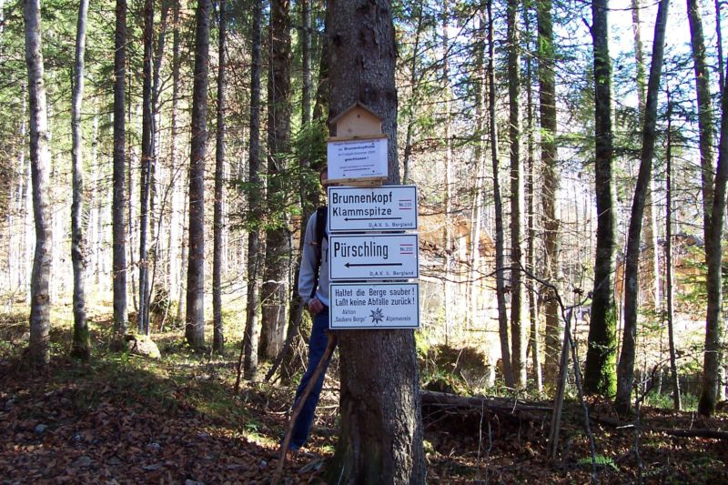 Bild vergr&ouml;ssern