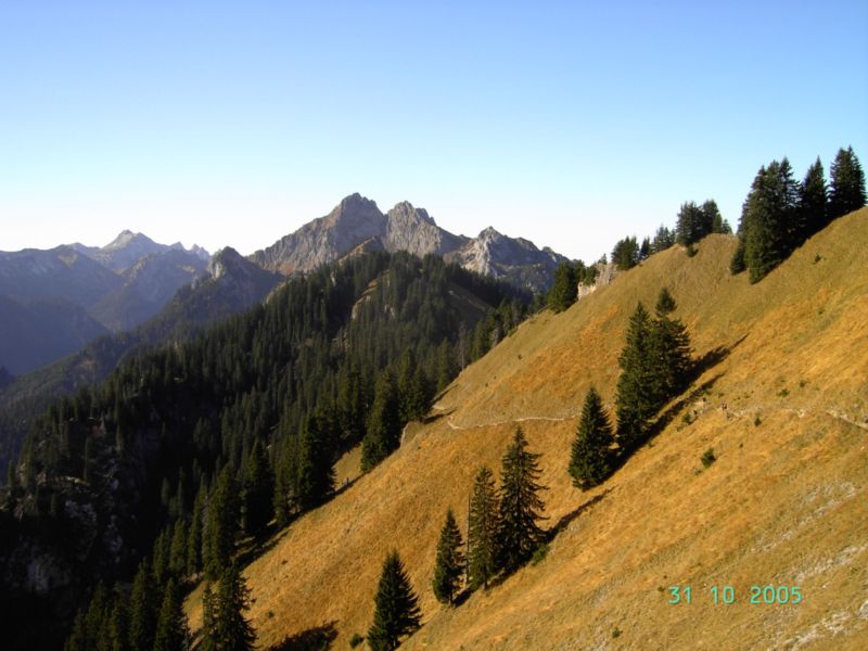 Bild vergr&ouml;ssern