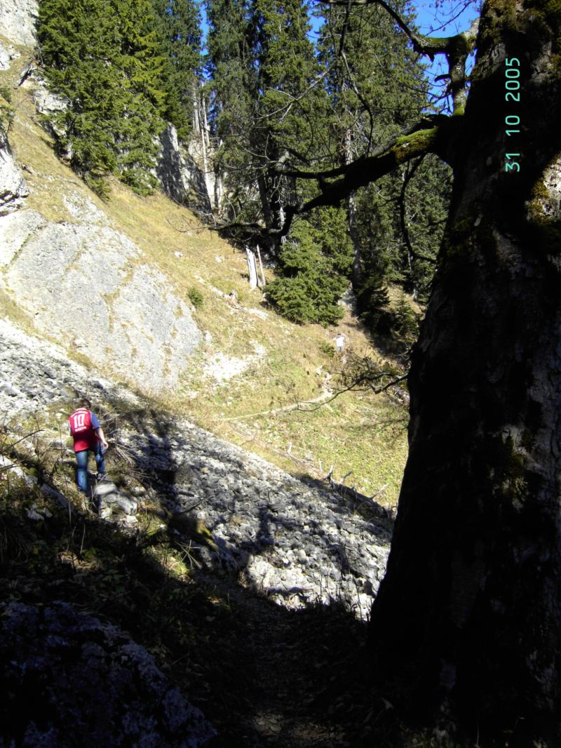 Bild vergr&ouml;ssern