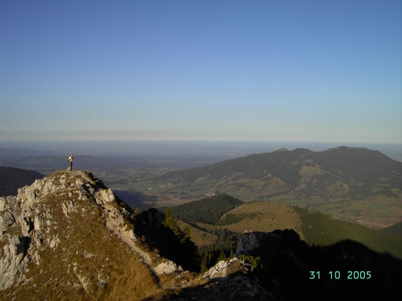 Bild vergr&ouml;ssern