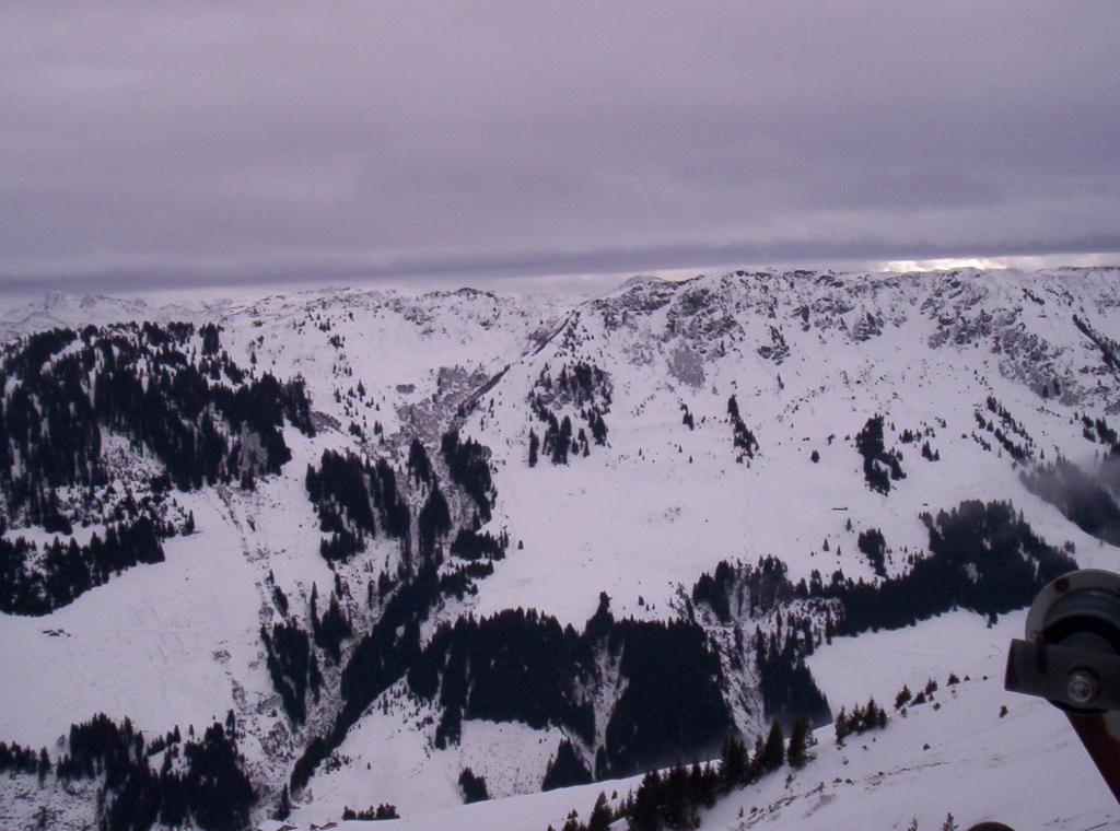 Bild vergr&ouml;ssern