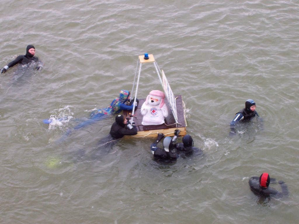 Bild vergr&ouml;ssern