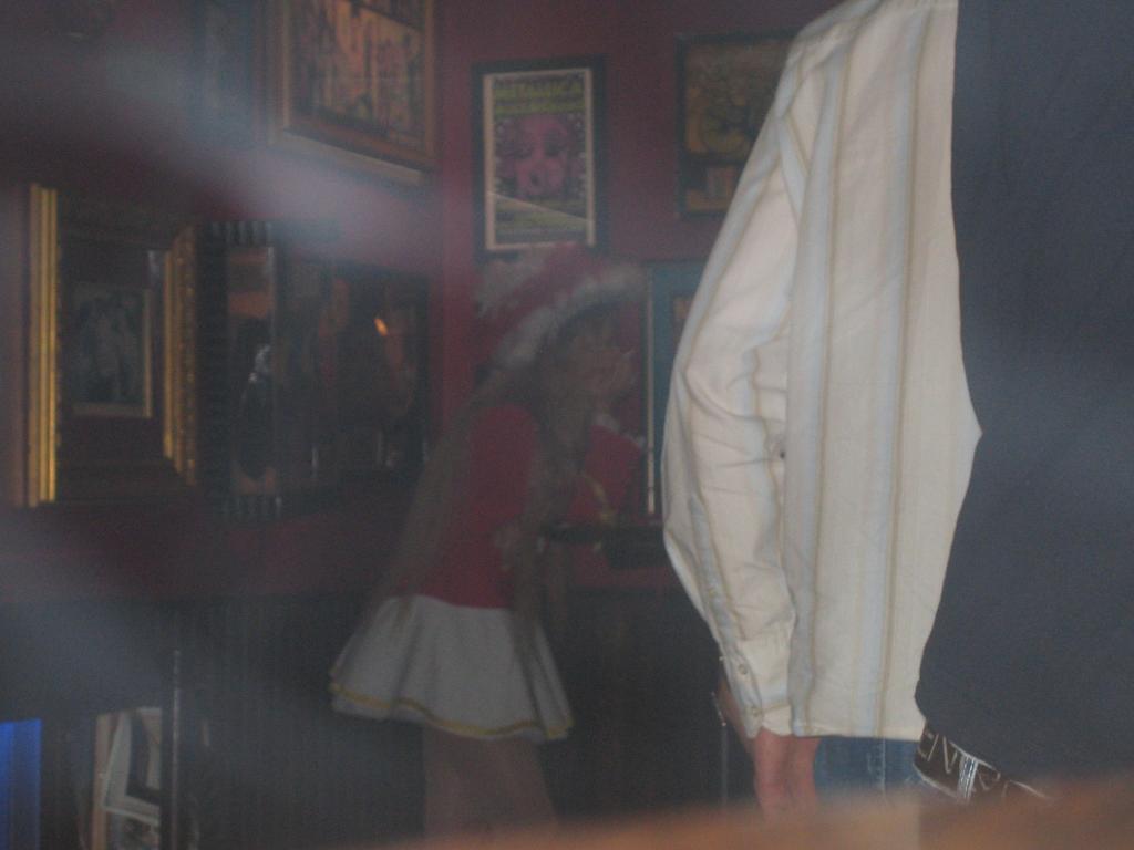 Bild vergr&ouml;ssern