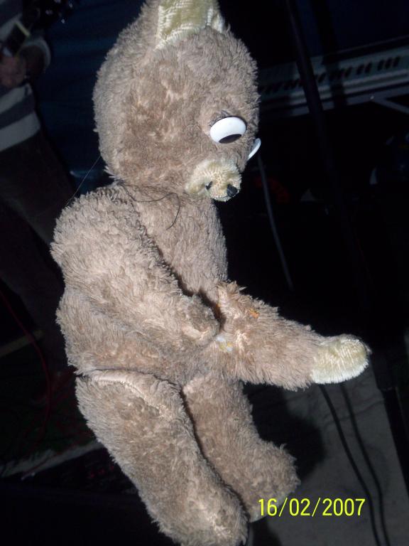 Bild vergr&ouml;ssern