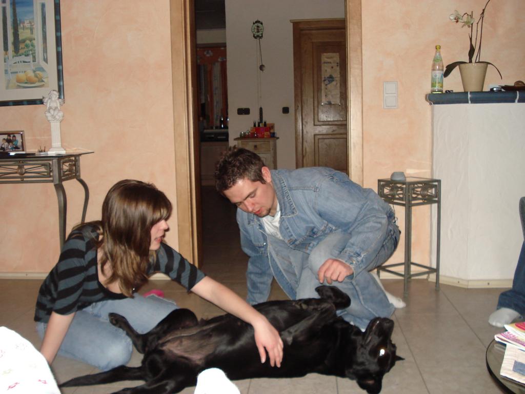 Bild vergr&ouml;ssern