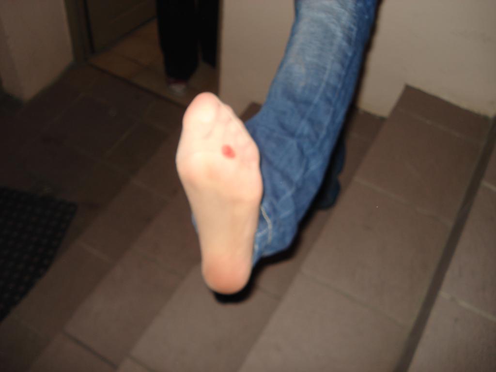 Bild vergr&ouml;ssern