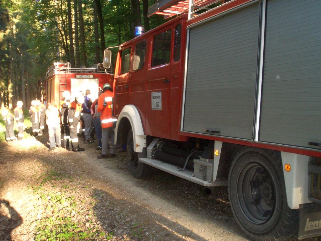 Bild vergr&ouml;ssern