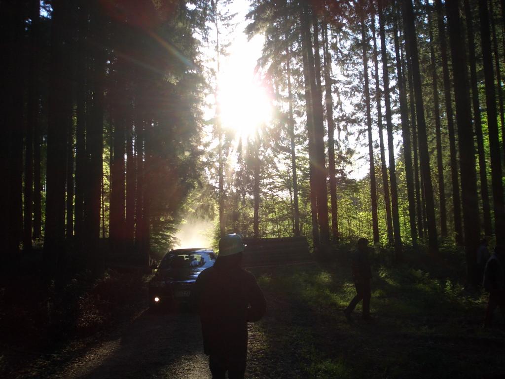 Bild vergr&ouml;ssern