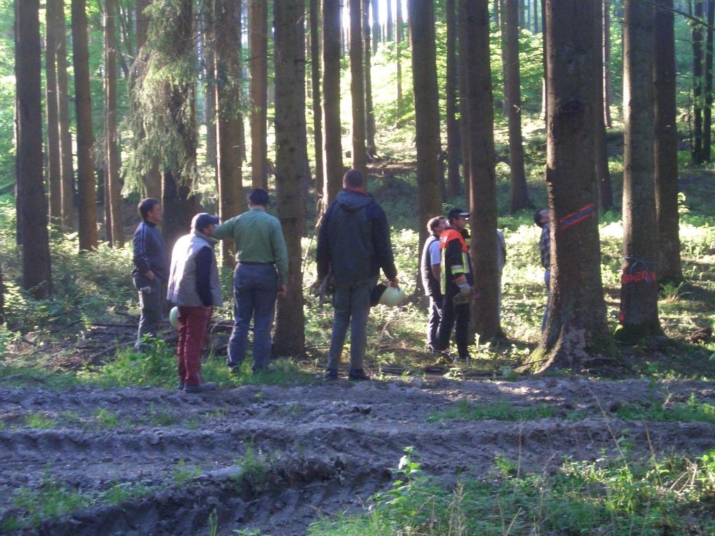 Bild vergr&ouml;ssern