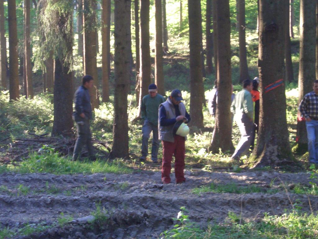 Bild vergr&ouml;ssern