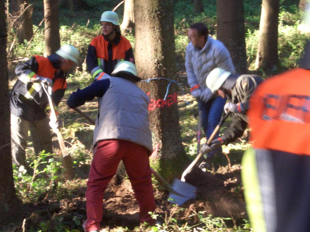 Bild vergr&ouml;ssern