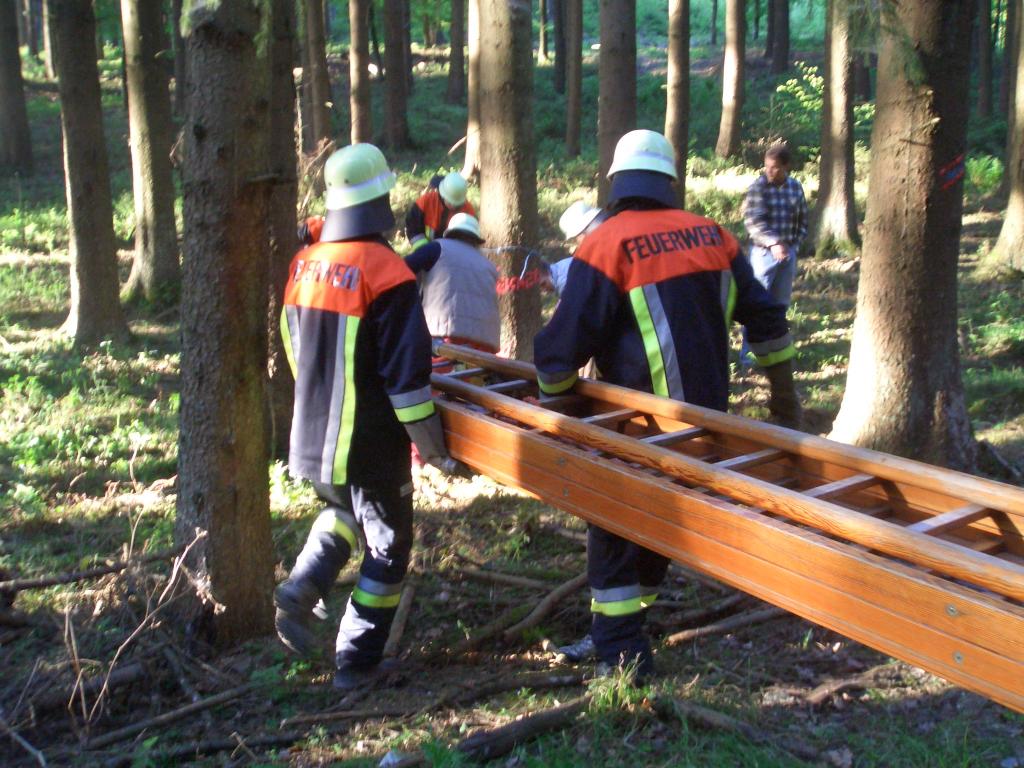 Bild vergr&ouml;ssern