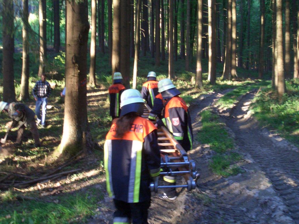 Bild vergr&ouml;ssern