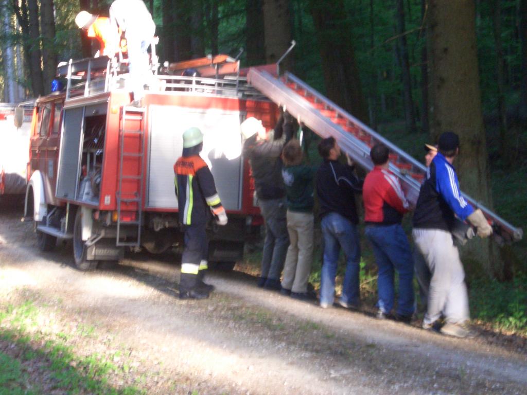 Bild vergr&ouml;ssern