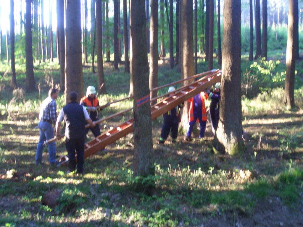 Bild vergr&ouml;ssern