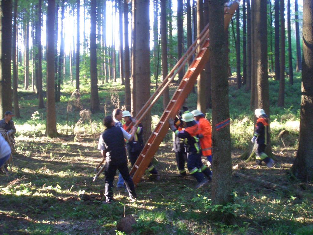 Bild vergr&ouml;ssern
