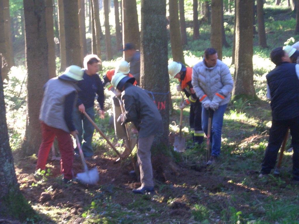 Bild vergr&ouml;ssern