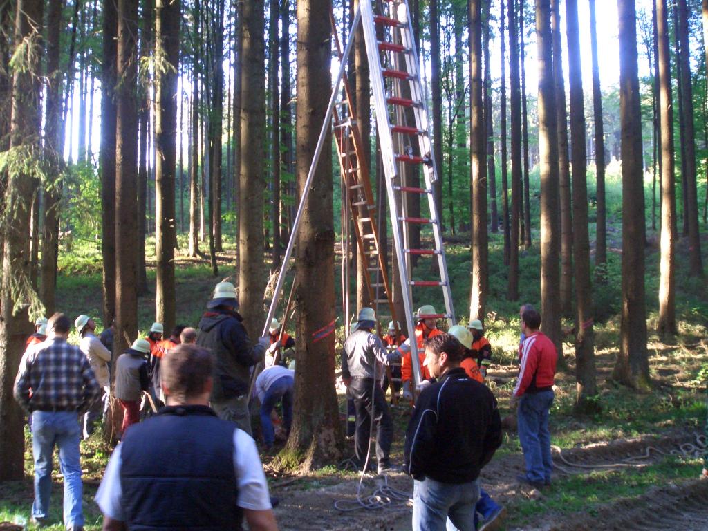 Bild vergr&ouml;ssern