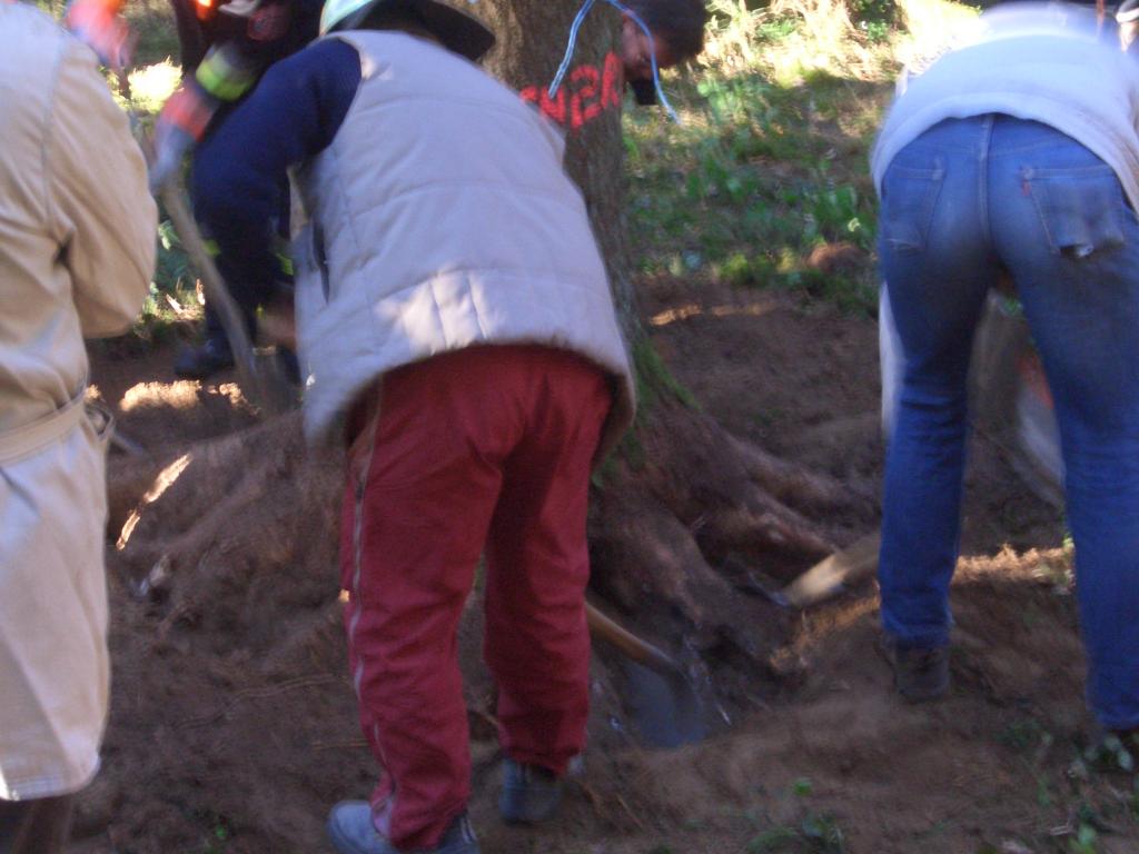 Bild vergr&ouml;ssern