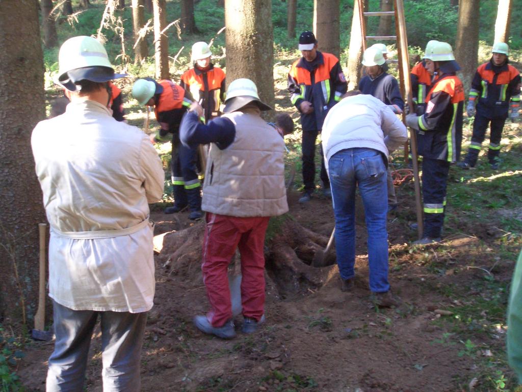Bild vergr&ouml;ssern