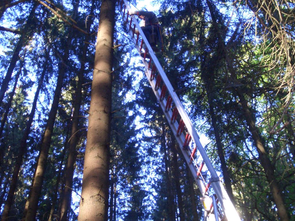 Bild vergr&ouml;ssern