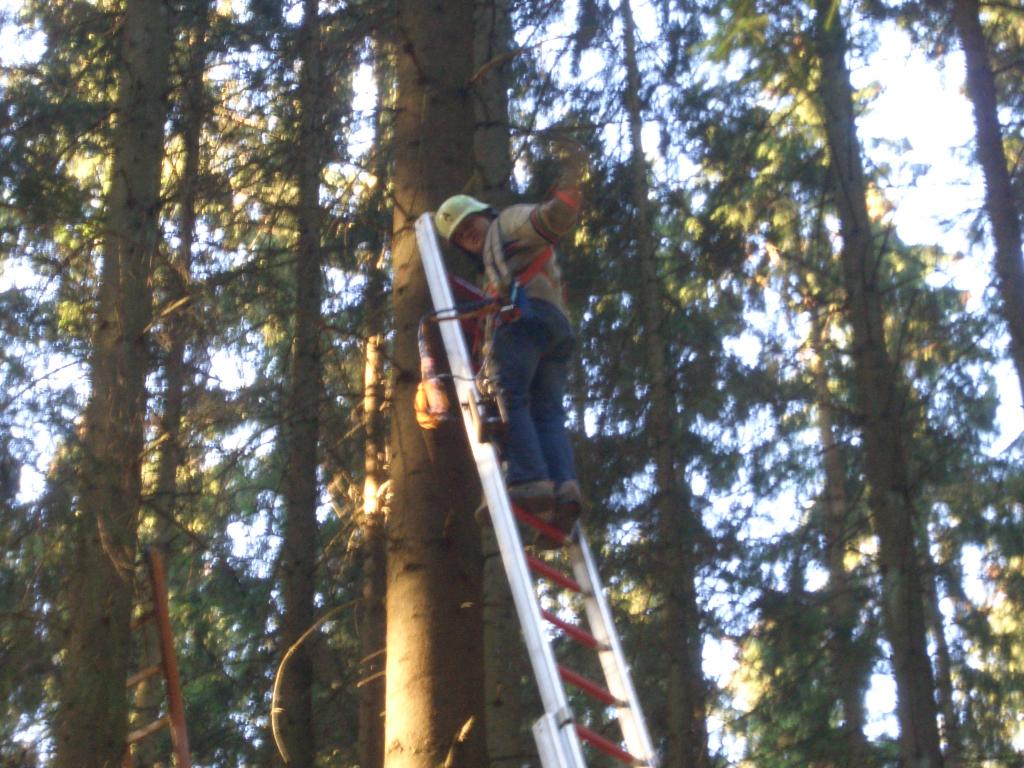 Bild vergr&ouml;ssern