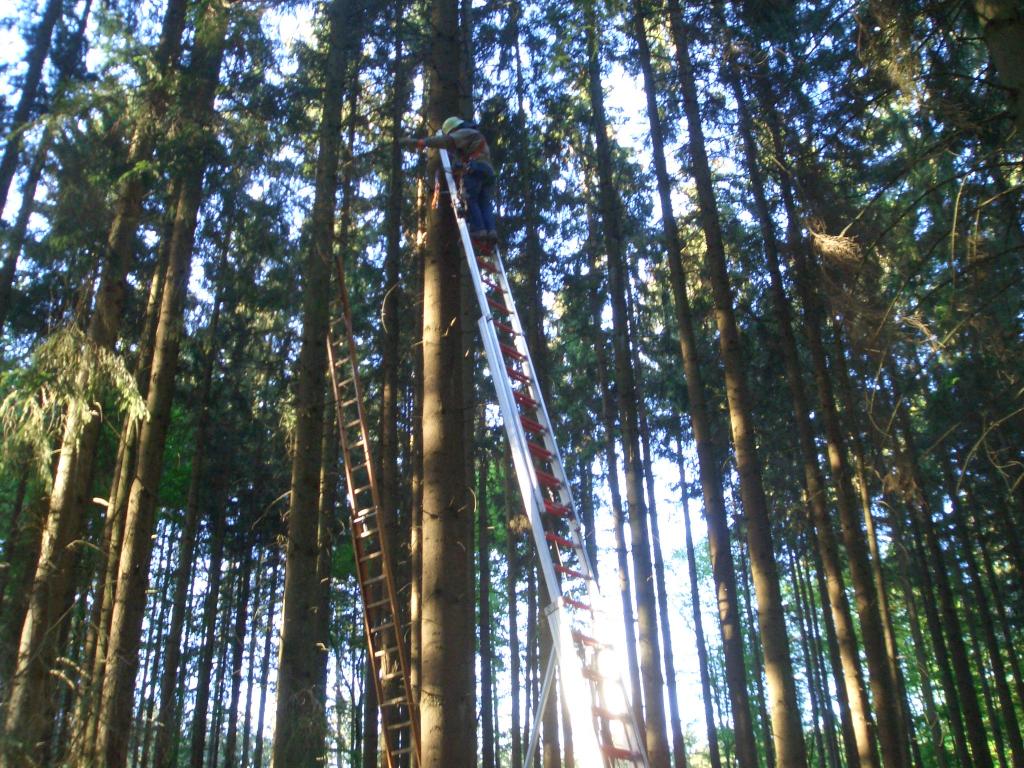 Bild vergr&ouml;ssern