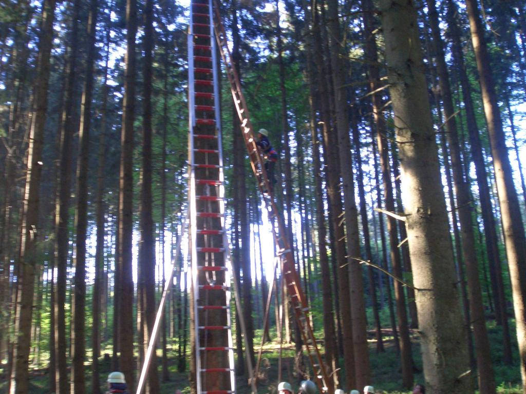 Bild vergr&ouml;ssern