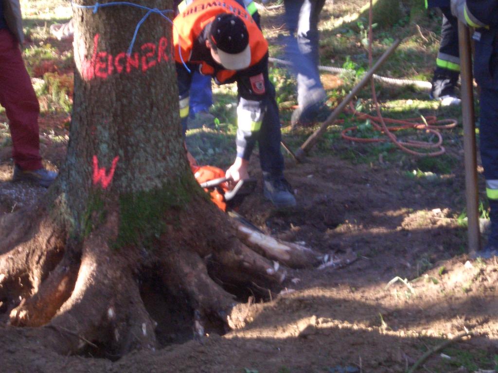 Bild vergr&ouml;ssern