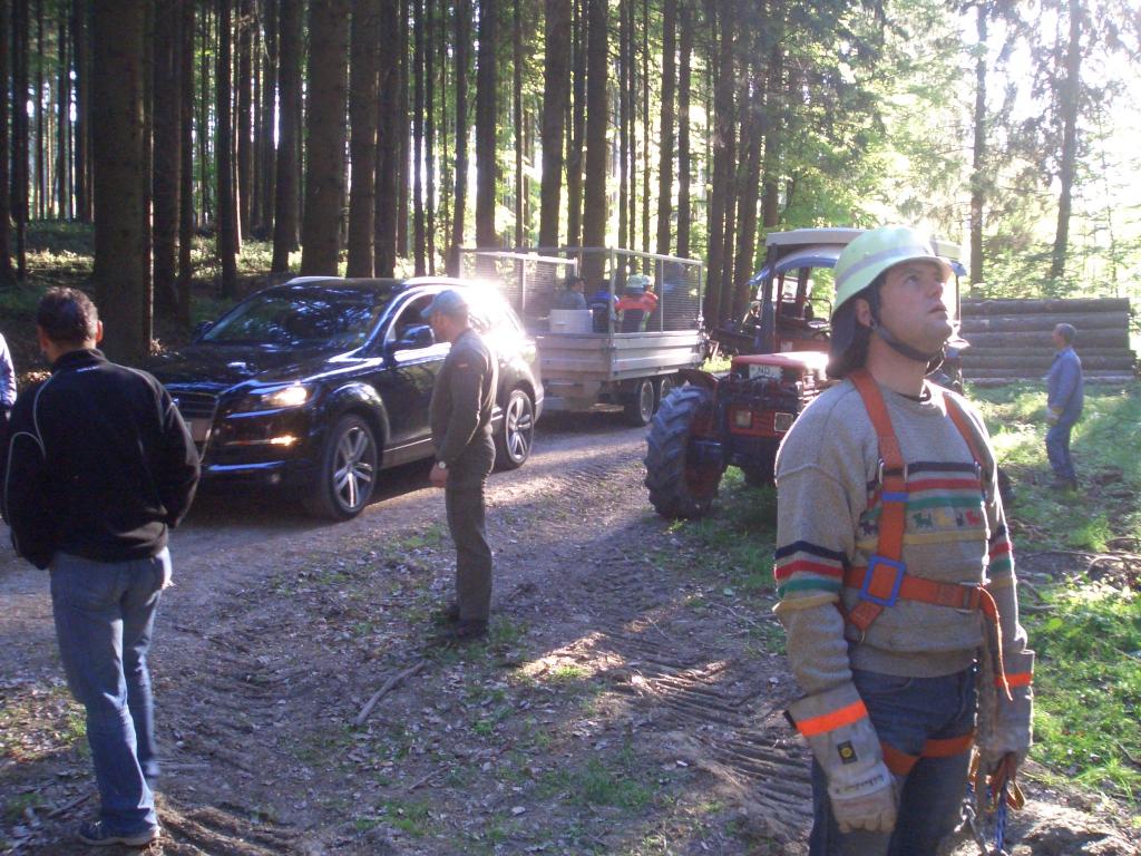 Bild vergr&ouml;ssern