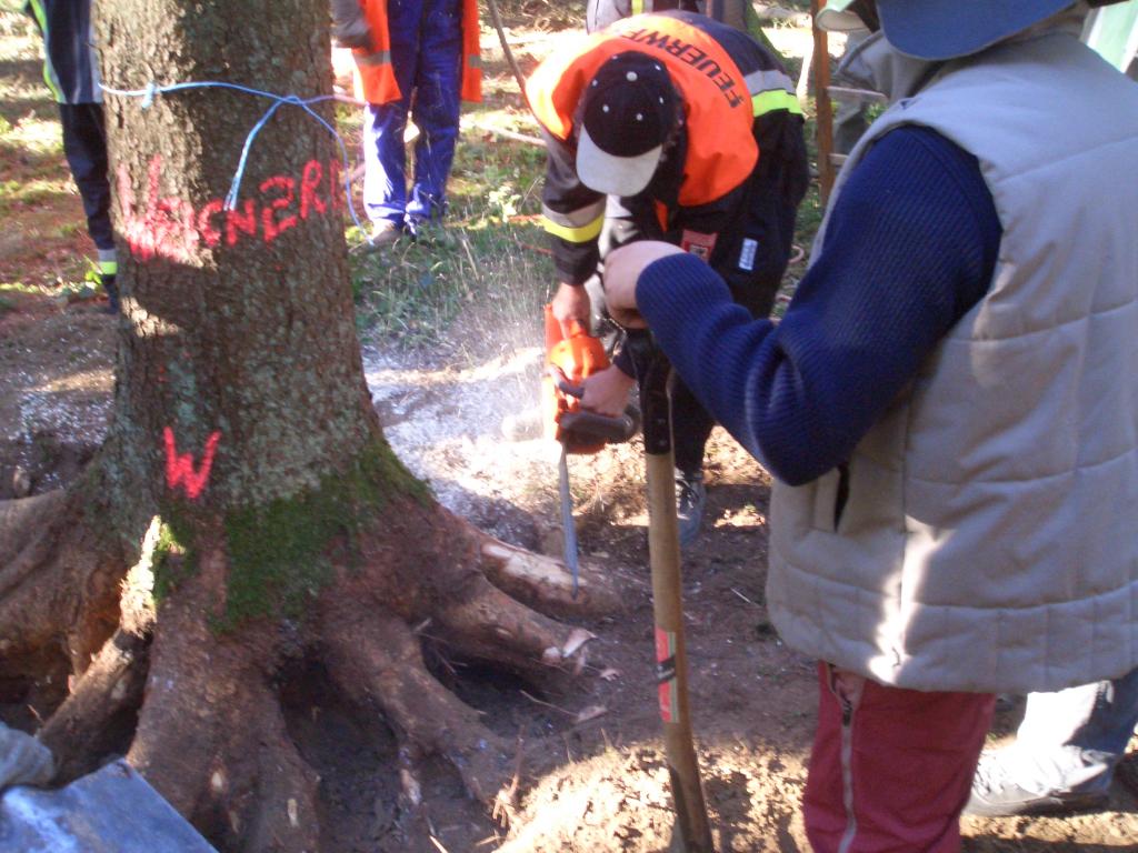 Bild vergr&ouml;ssern