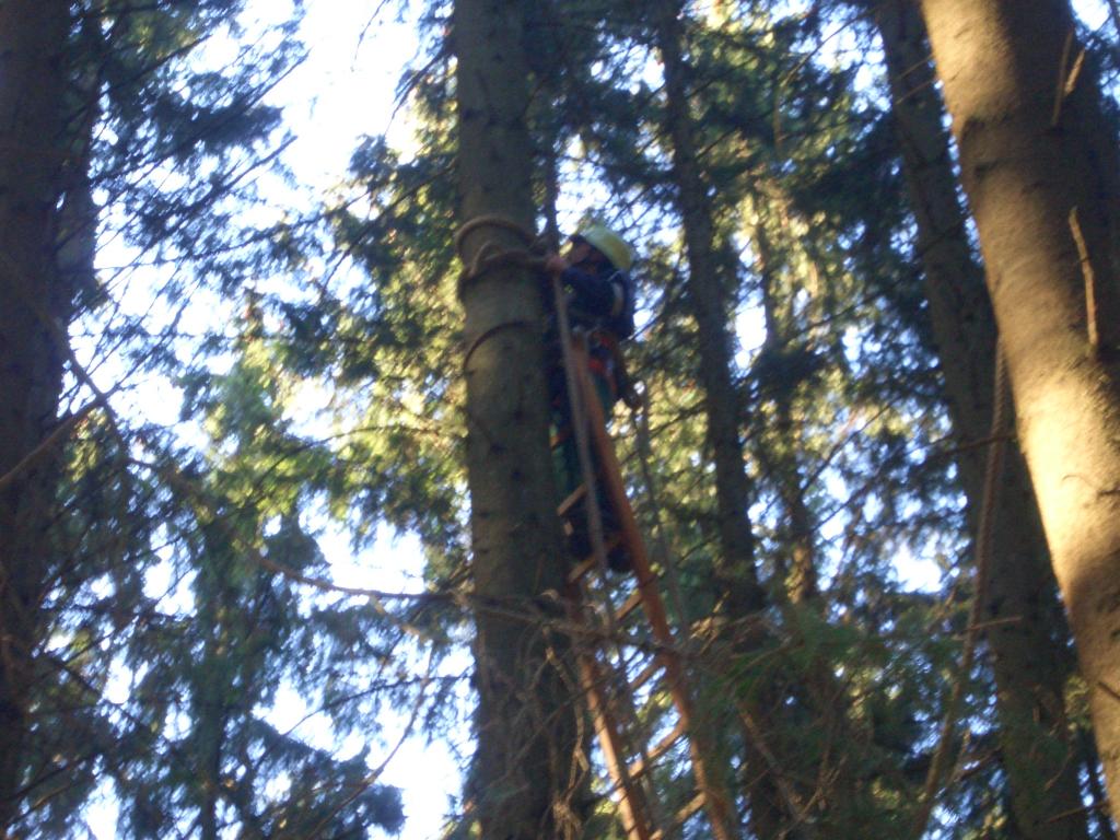 Bild vergr&ouml;ssern