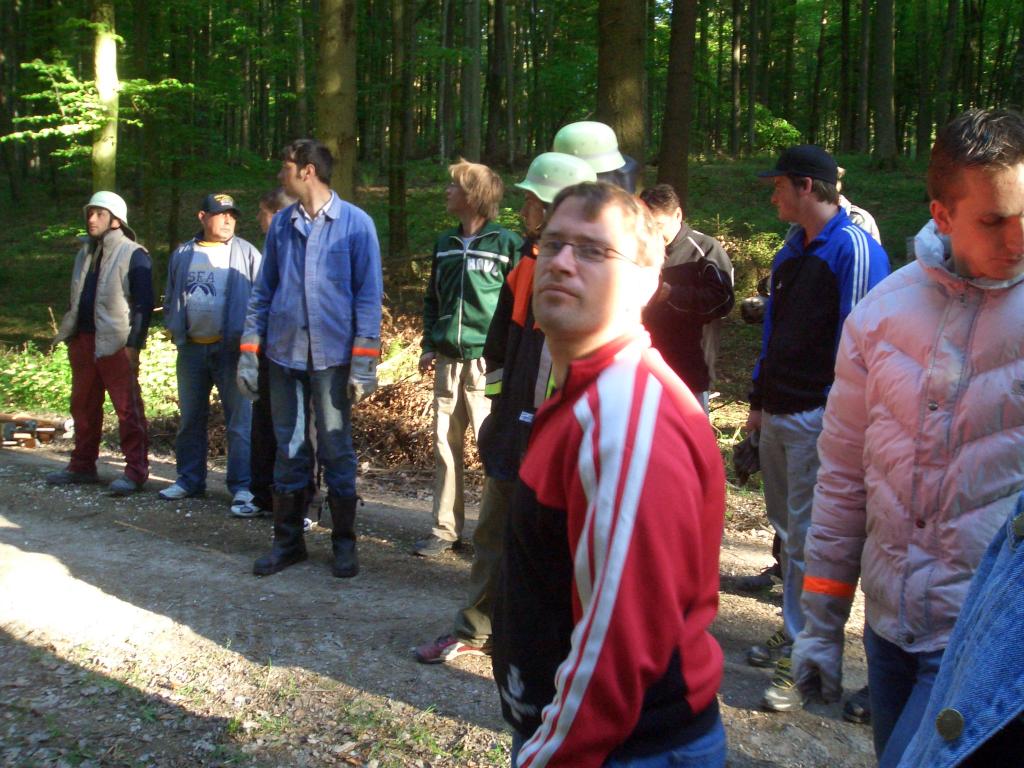 Bild vergr&ouml;ssern