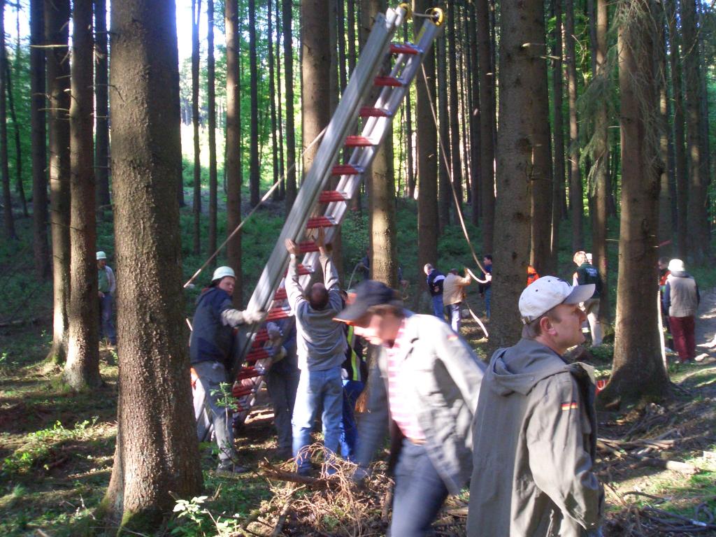 Bild vergr&ouml;ssern