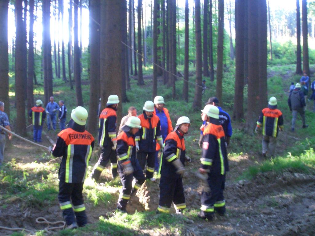 Bild vergr&ouml;ssern