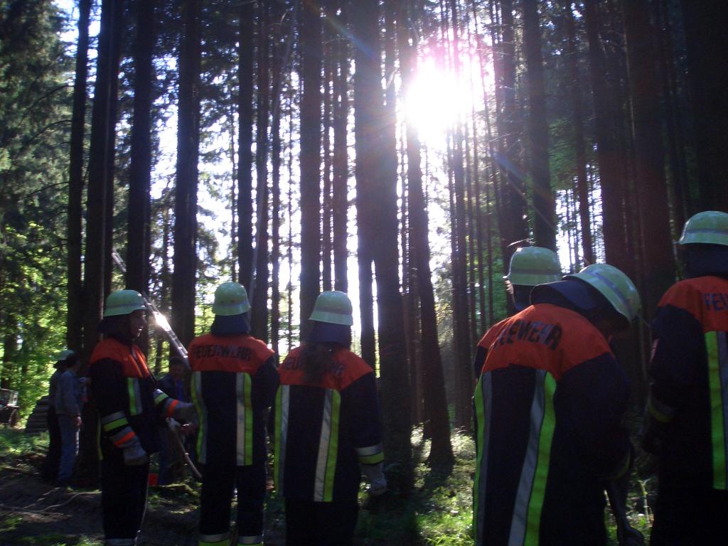 Bild vergr&ouml;ssern