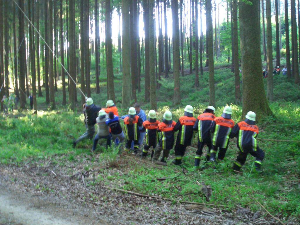 Bild vergr&ouml;ssern