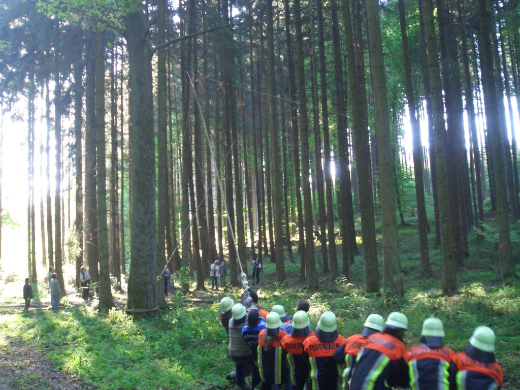 Bild vergr&ouml;ssern