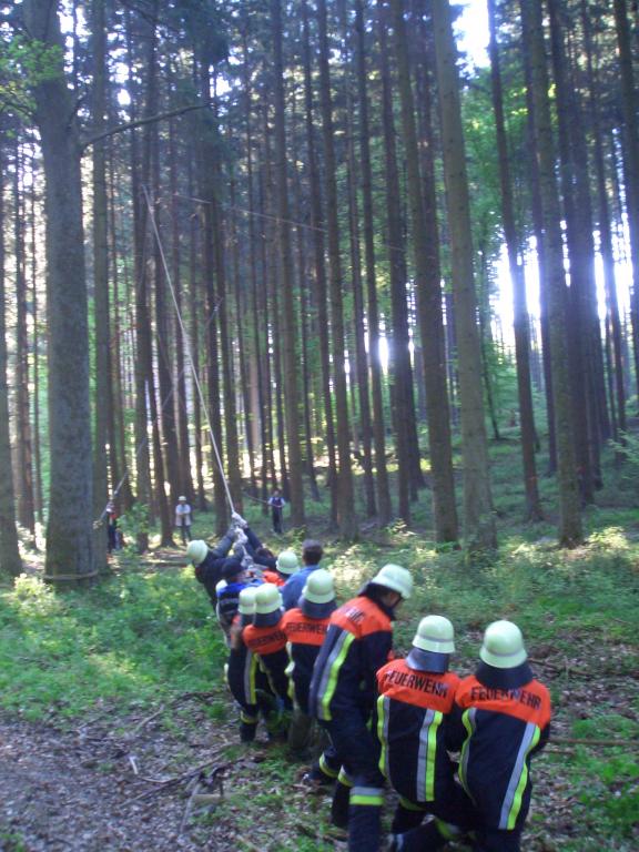 Bild vergr&ouml;ssern