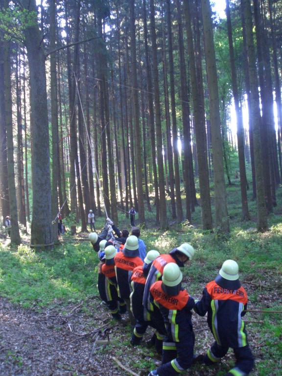 Bild vergr&ouml;ssern