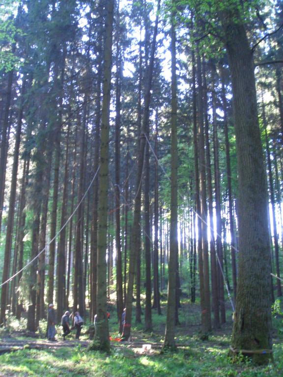 Bild vergr&ouml;ssern