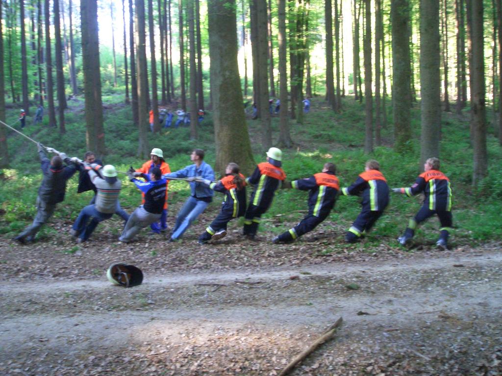 Bild vergr&ouml;ssern