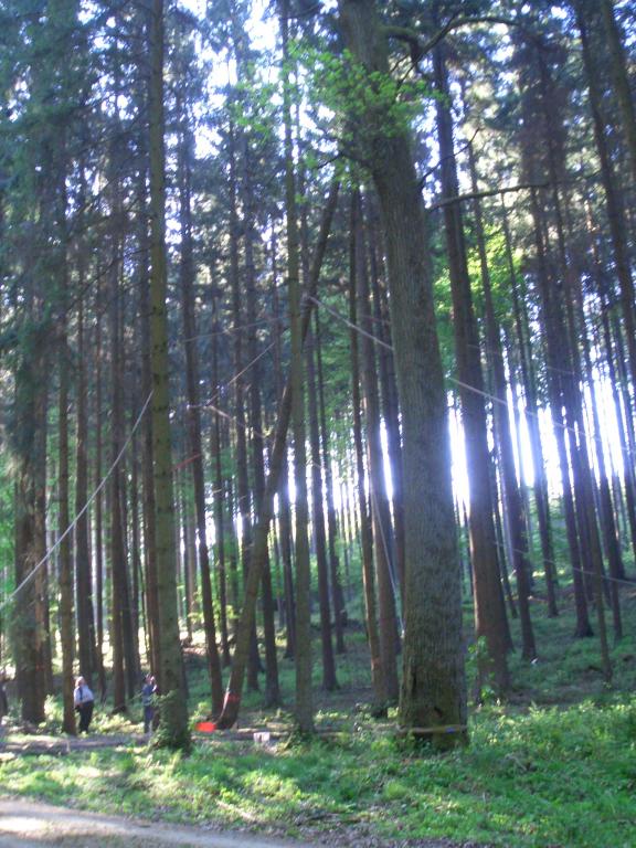 Bild vergr&ouml;ssern